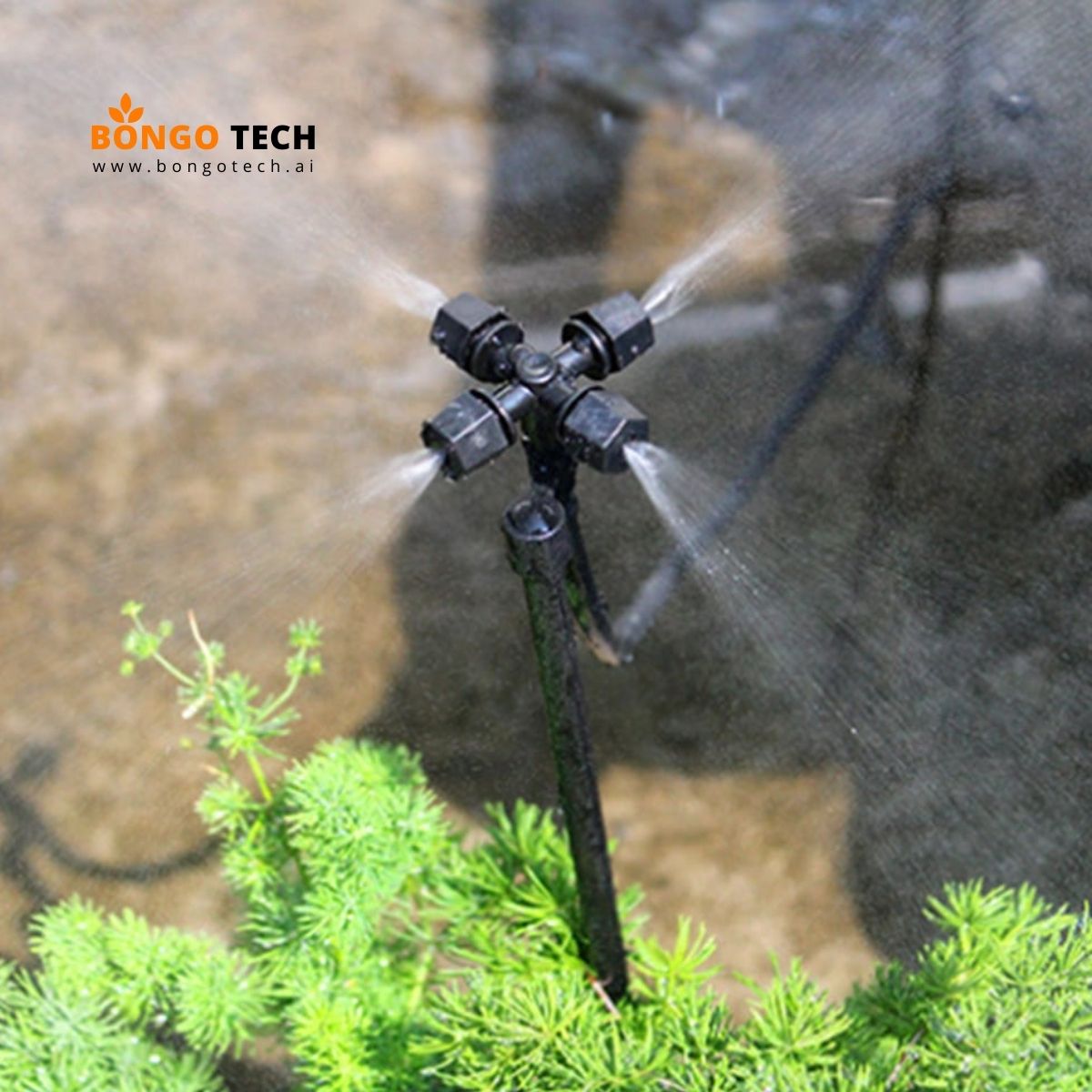 Cross Fogger Set Black – Adjustable Mist Sprayer - Bangladesh(BD)